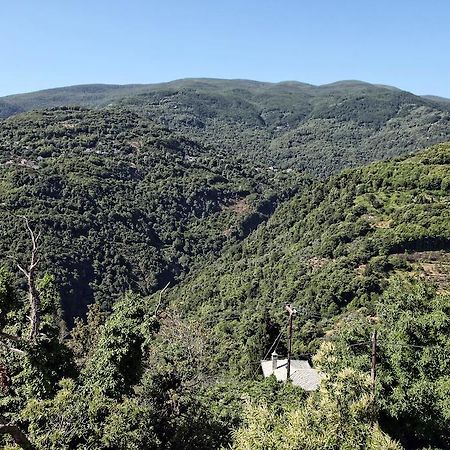 Áyios Dhimítrios Theta Hotel Pelion מראה חיצוני תמונה