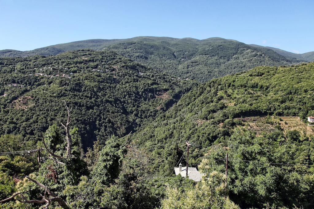 Áyios Dhimítrios Theta Hotel Pelion מראה חיצוני תמונה